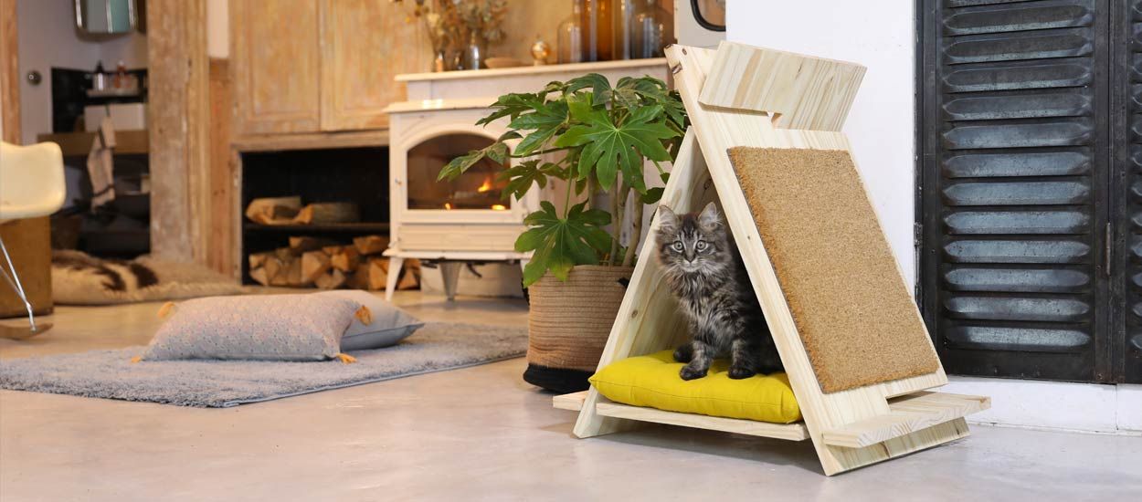 tipi-pour-chat