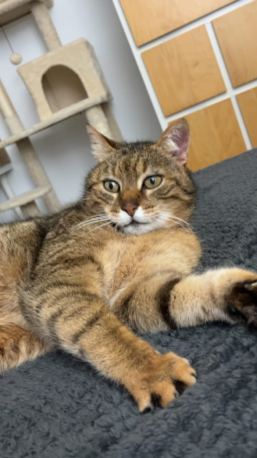 MARLEY