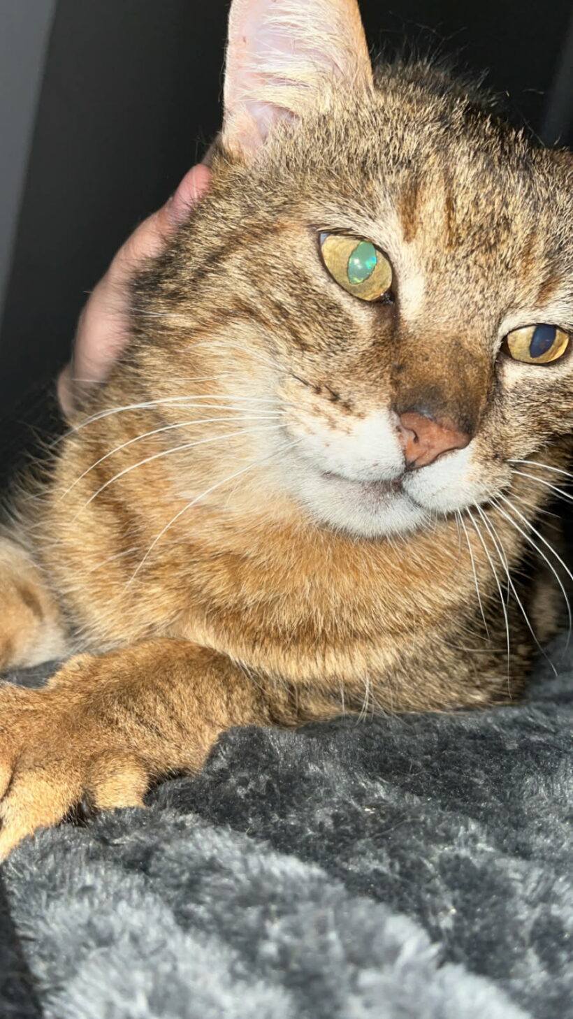 MARLEY