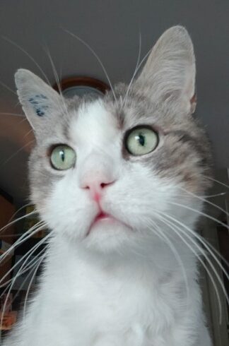 DOUDOU DOUDOU