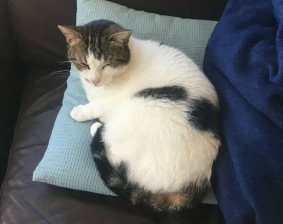 BIANCA