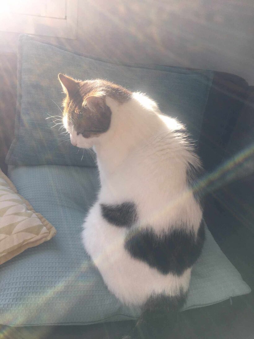 BIANCA