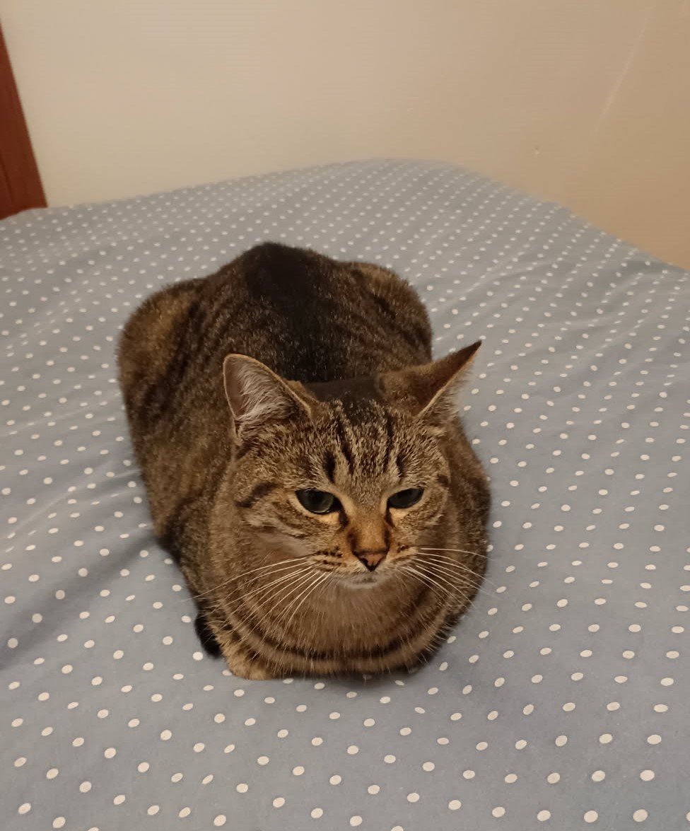 CHAUSSETTE est réservée CHAUSSETTE est réservée