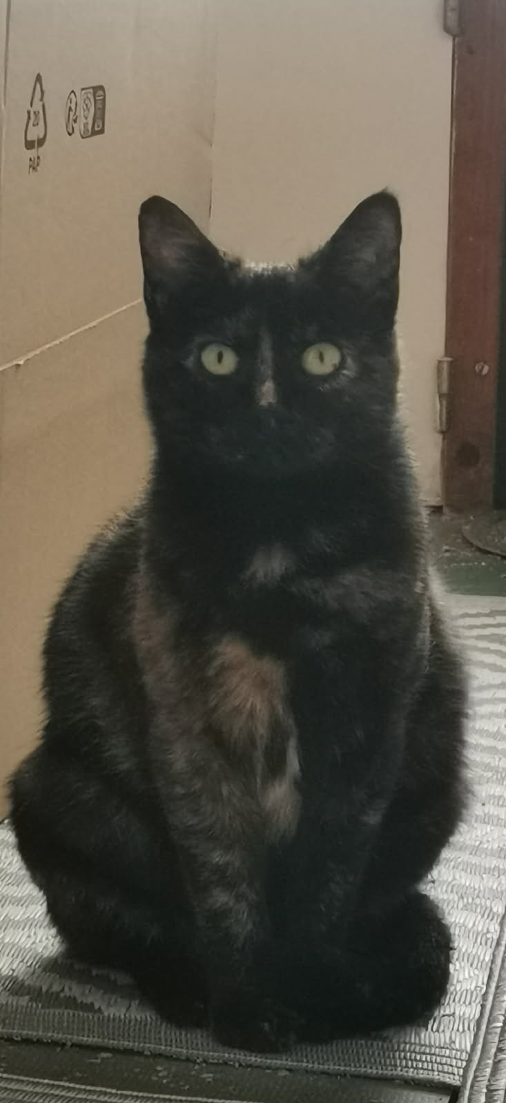 MAÏA