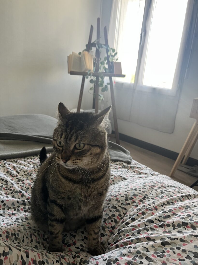TIGROU