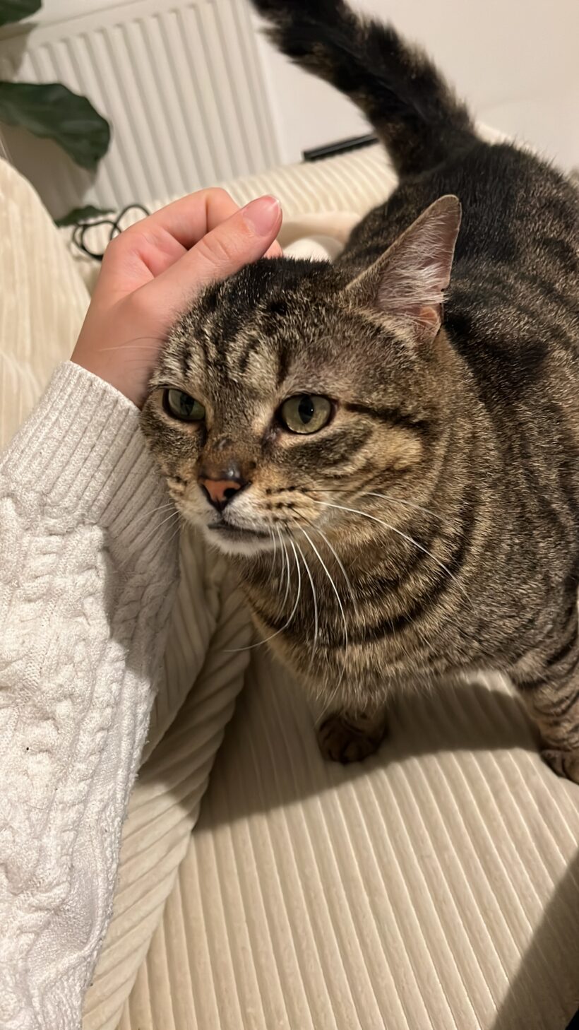 TIGROU