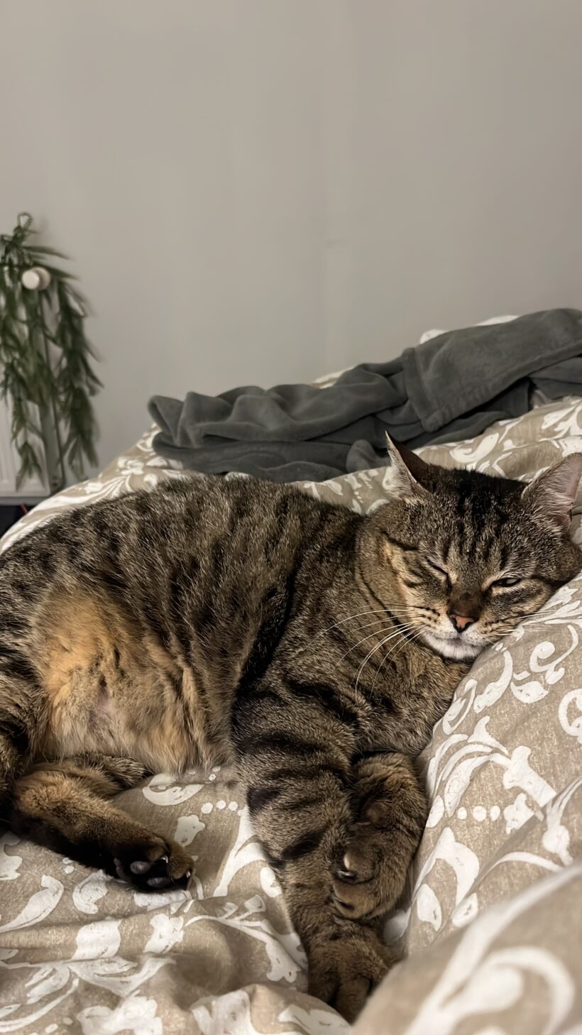 TIGROU