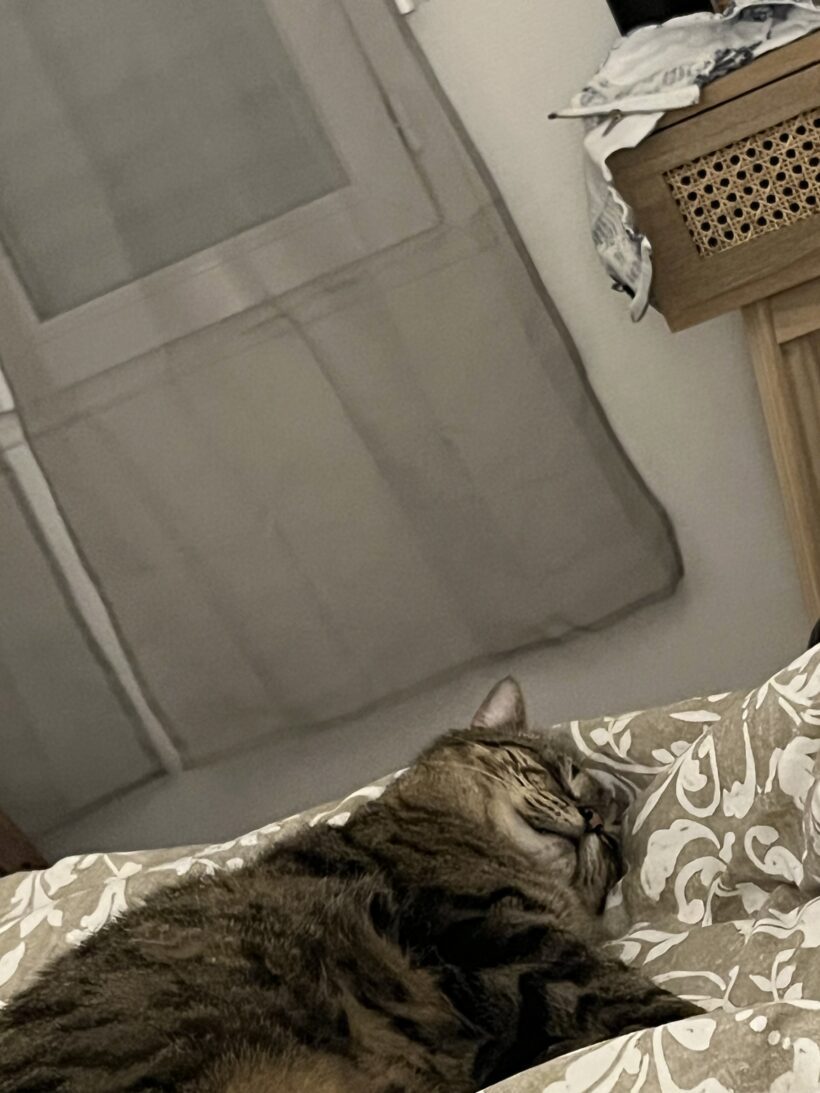 TIGROU