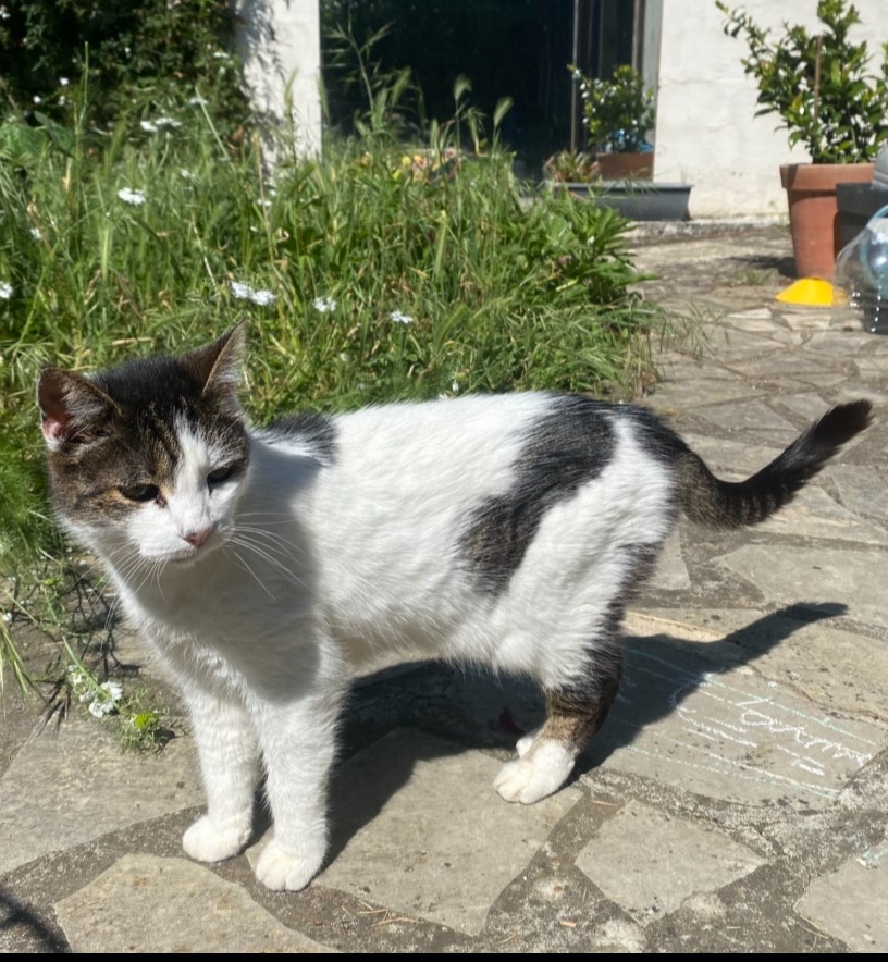 BIJOU