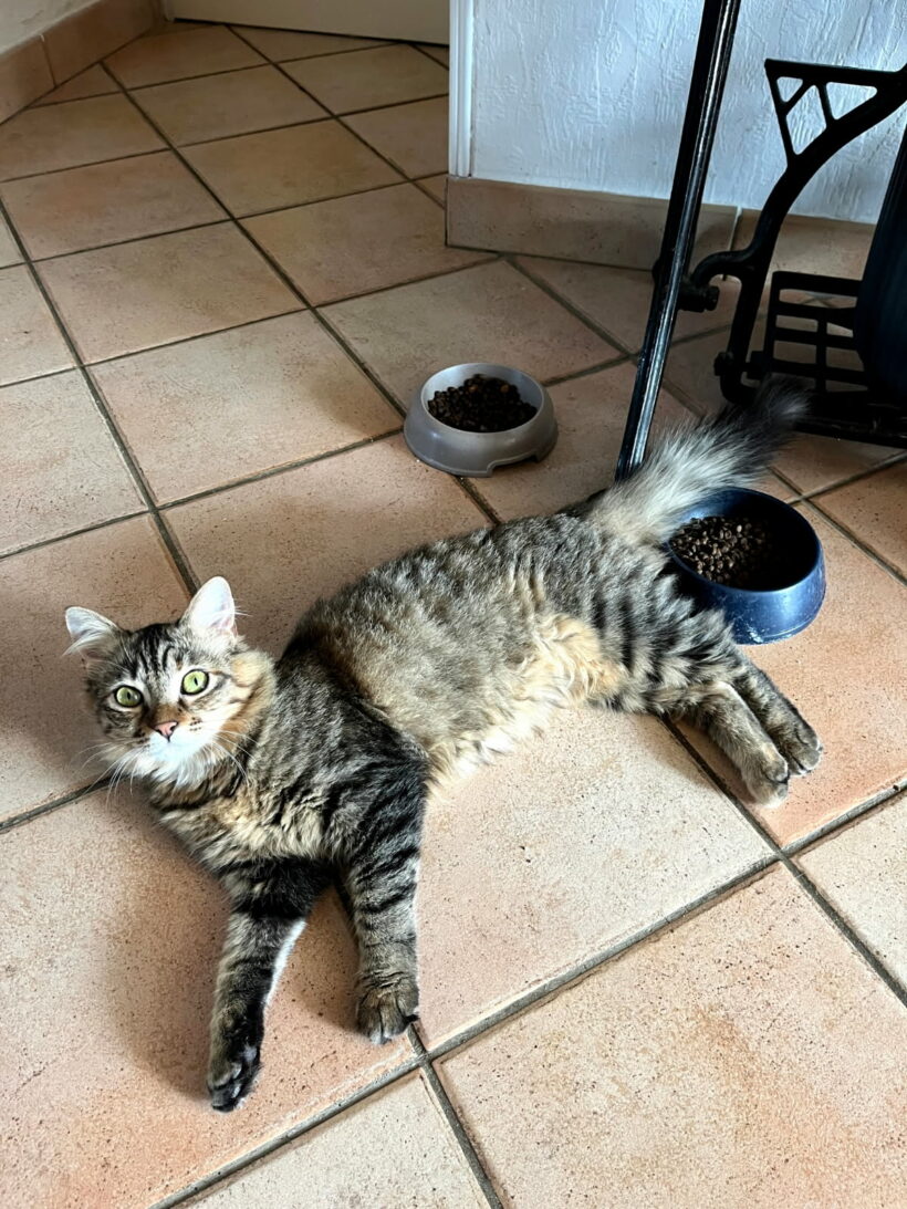 SAMBA