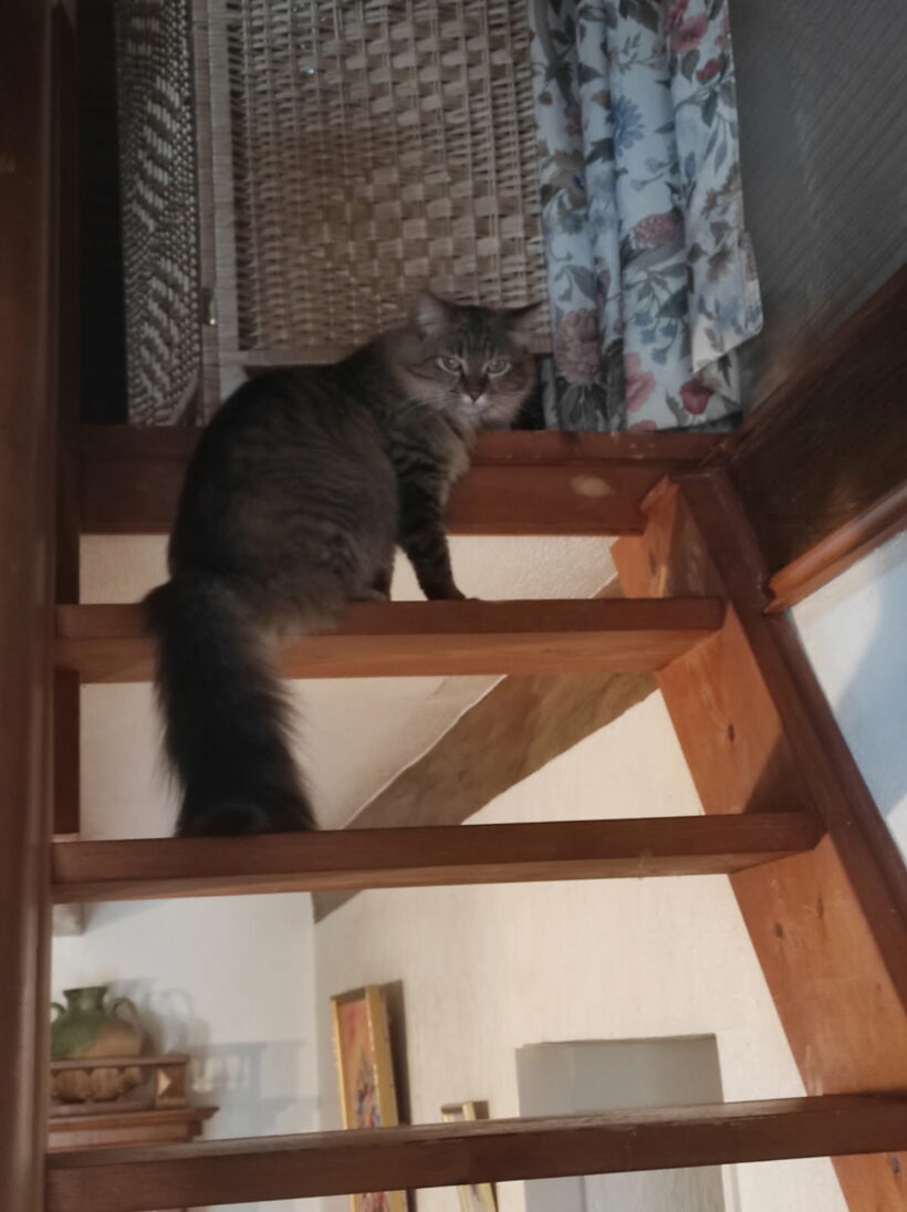 SAMBA