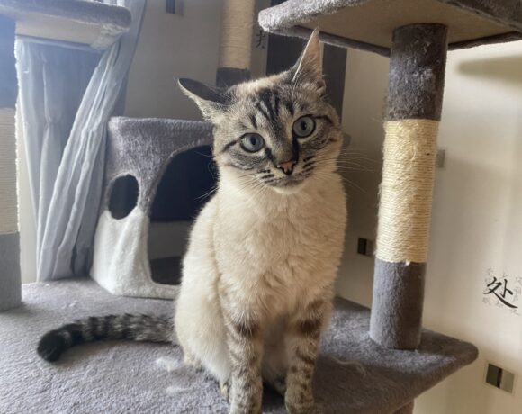 LUMY est réservée