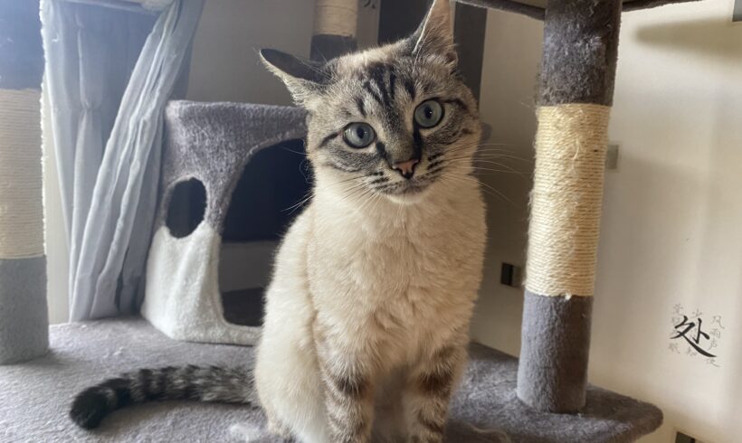 LUMY
