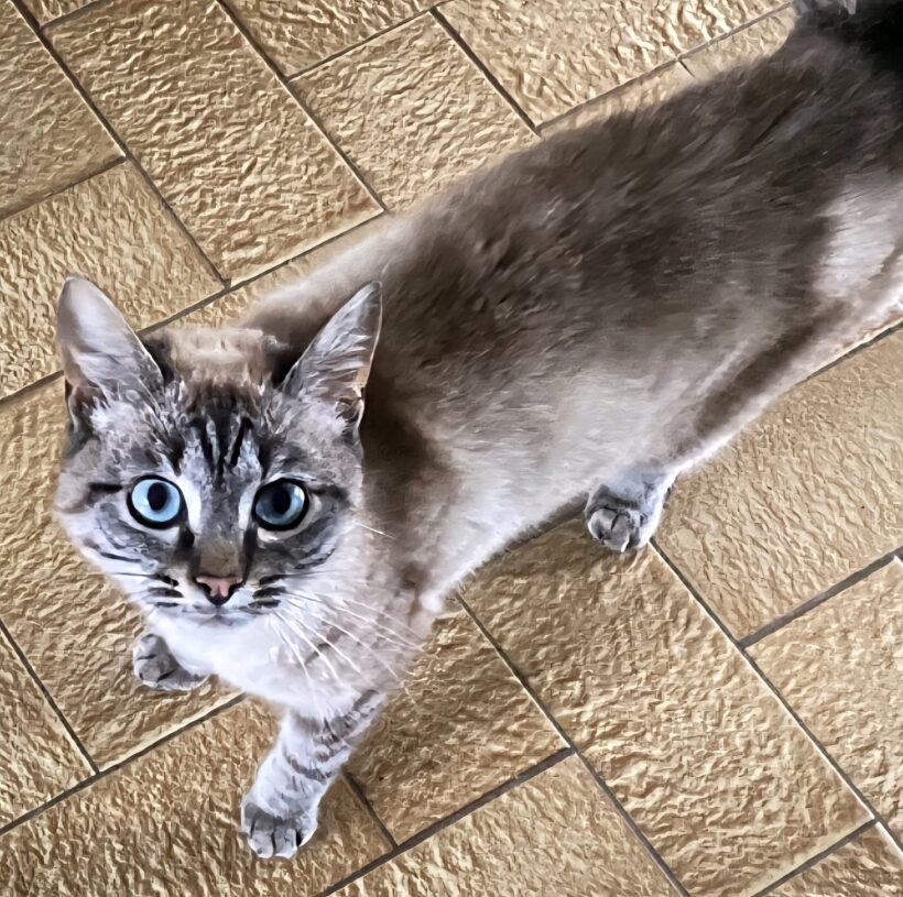 LUMY