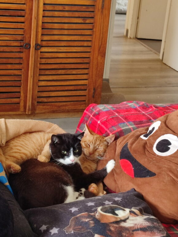 BOULE ET BILL