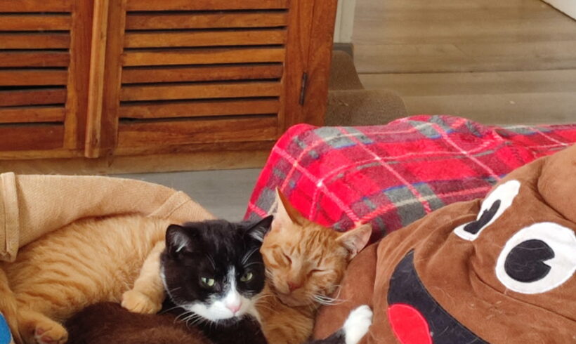 BOULE ET BILL