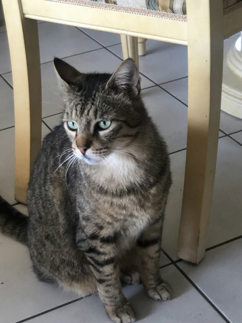TITOU