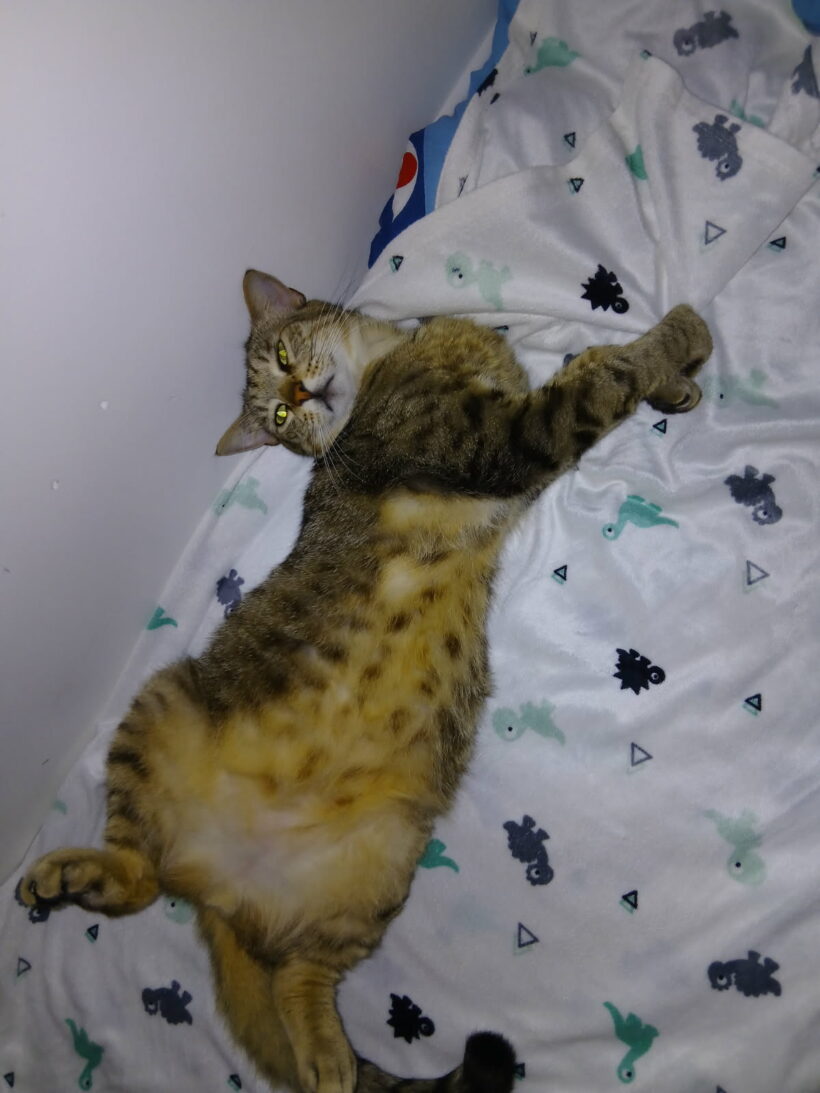 TITOU