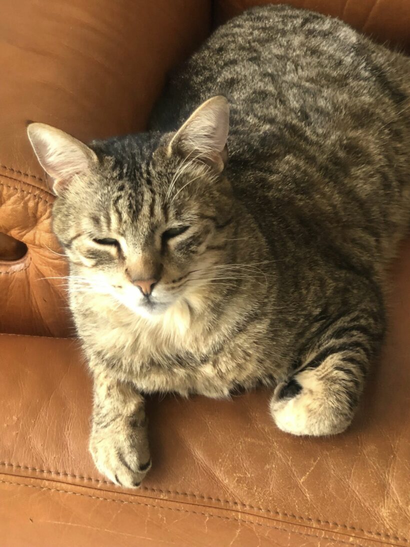 TITOU