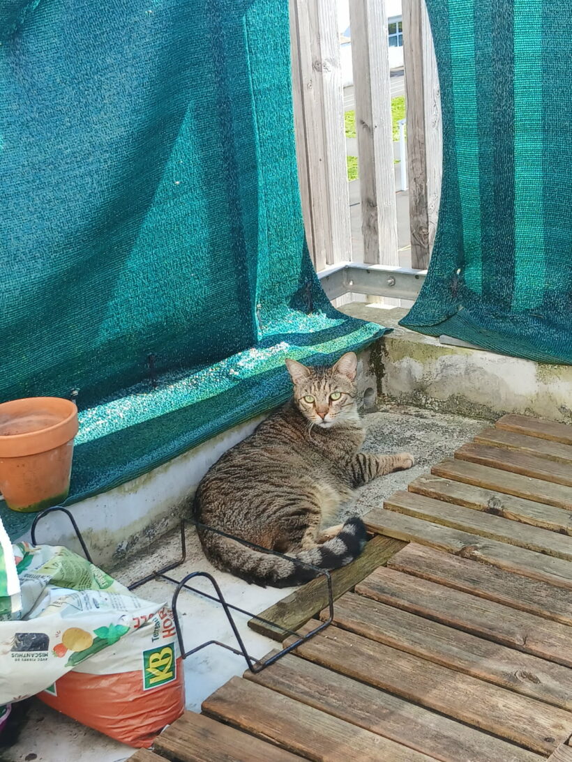 TITOU