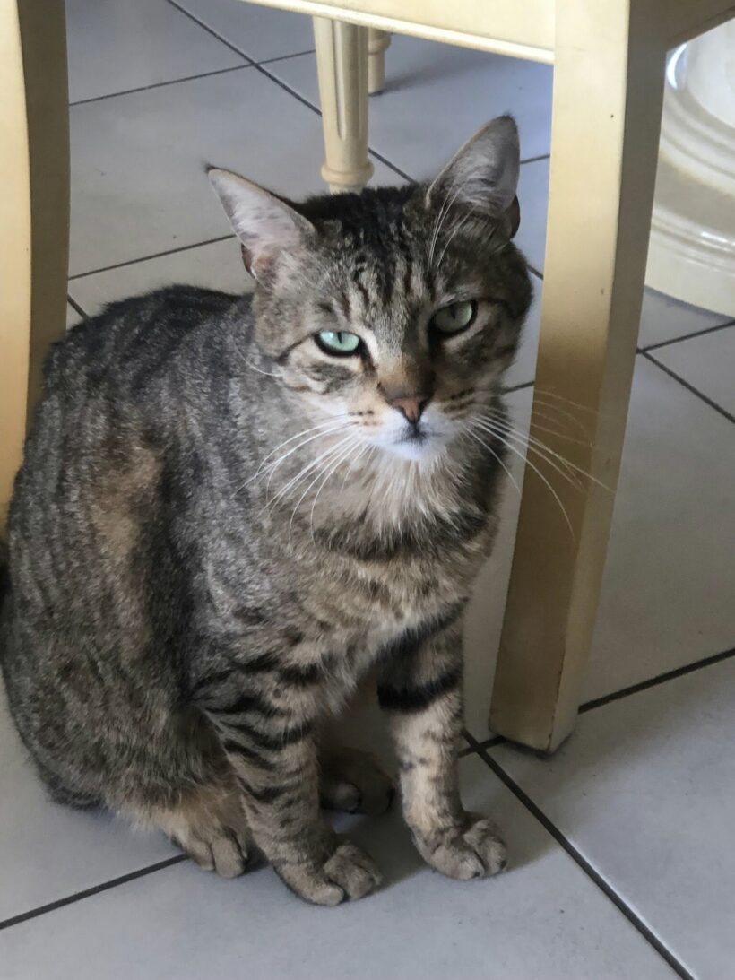 TITOU