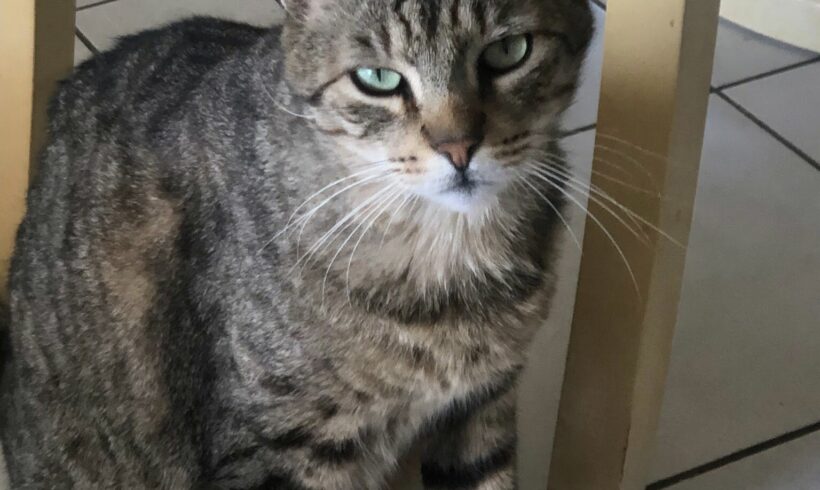 TITOU