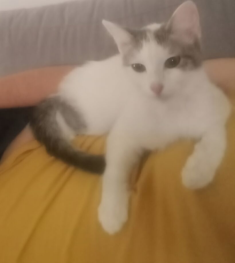 PITOU