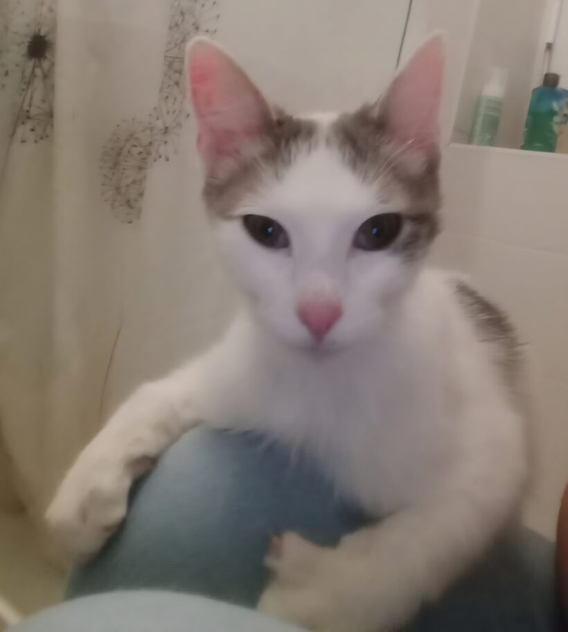 PITOU