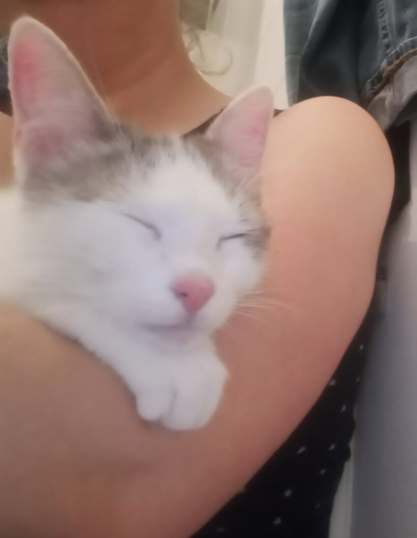 PITOU
