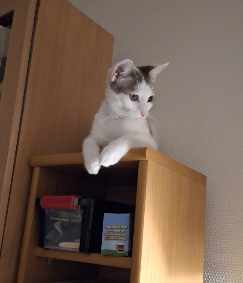 PITOU