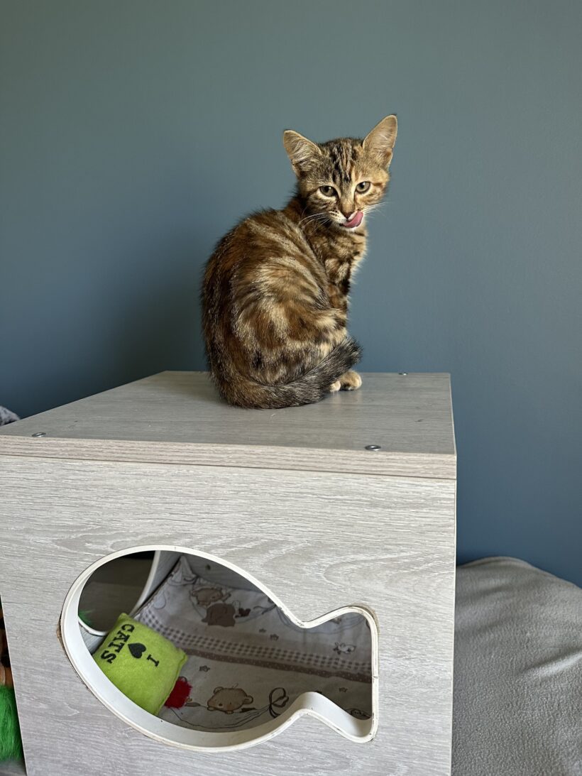 PRALINE