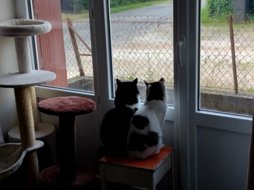 YUNNI et WILLIE