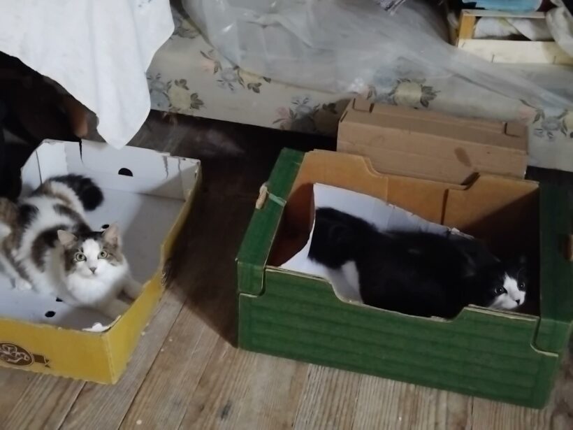 YUNNI et WILLIE