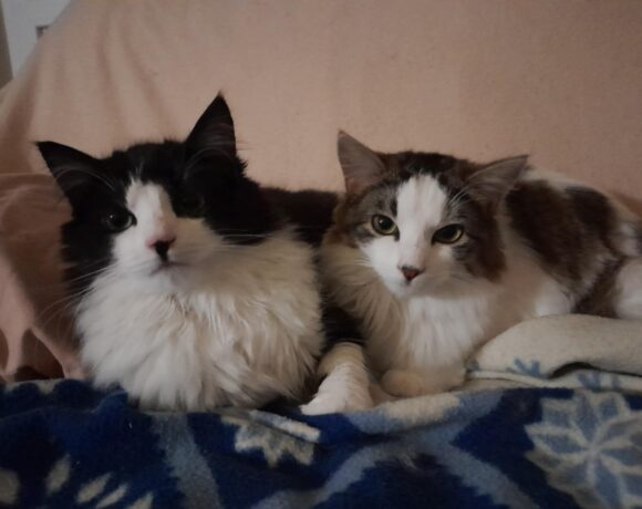 YUNNI et WILLIE