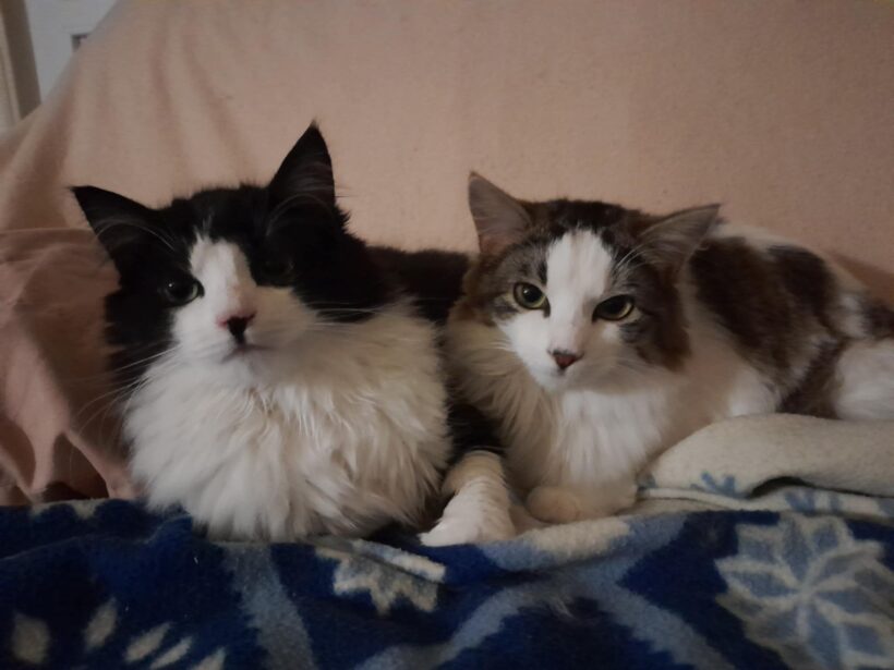 YUNNI et WILLIE