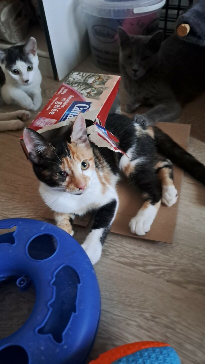 ABBY est réservée