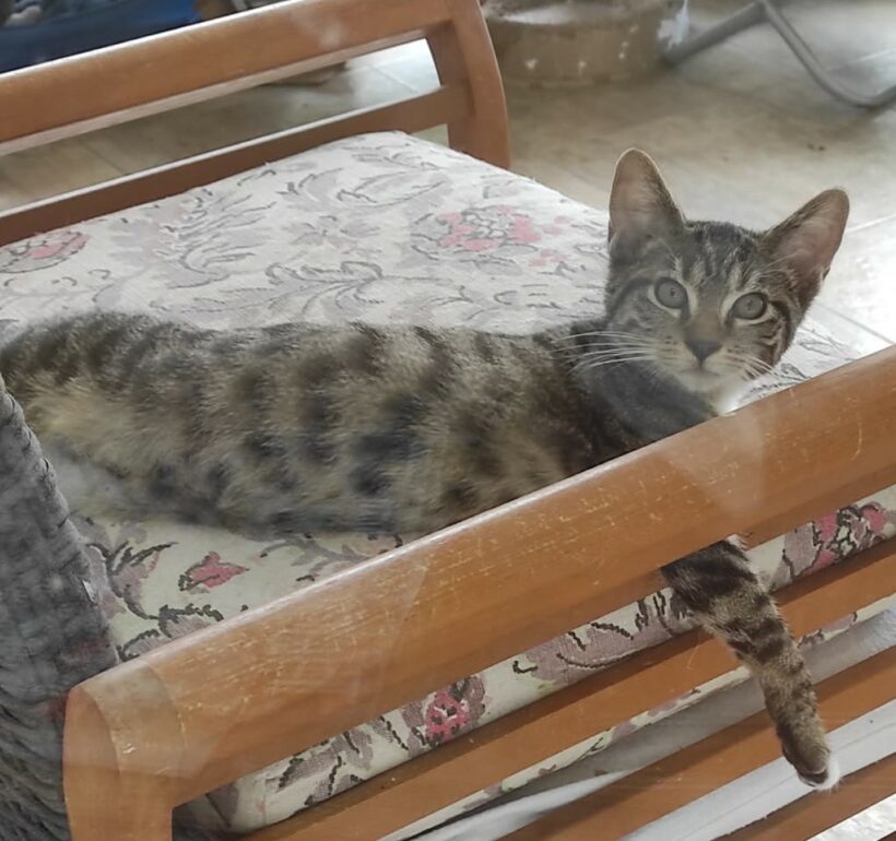 AJAX