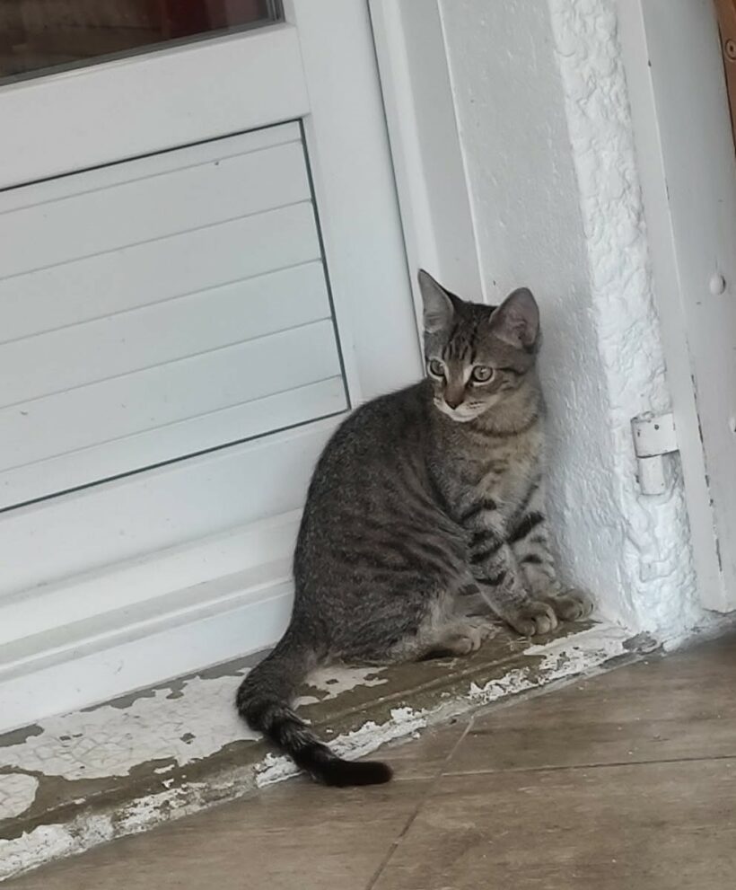 ATHOS