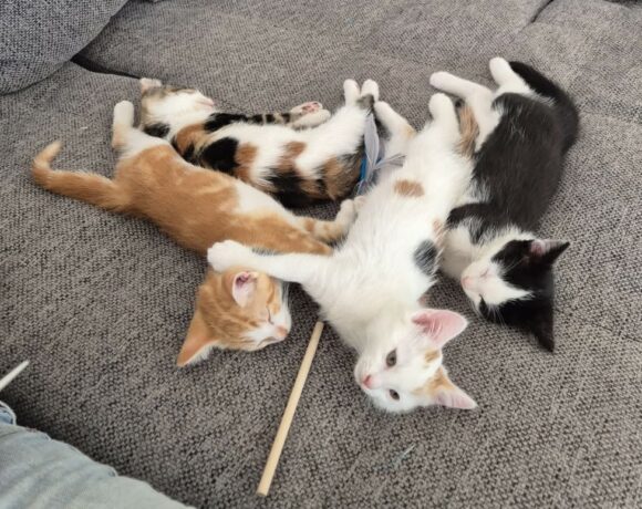 LES 4 FANTASTIQUES