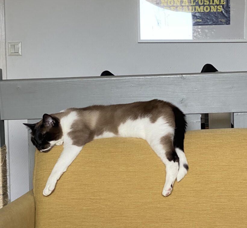 PABLO est réservé