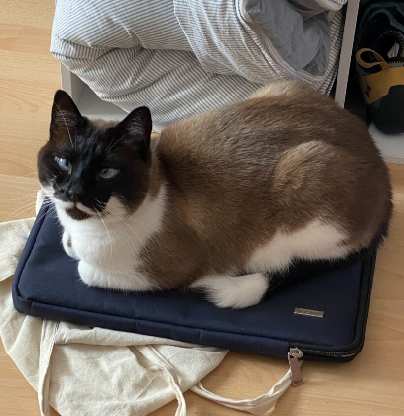 PABLO est réservé