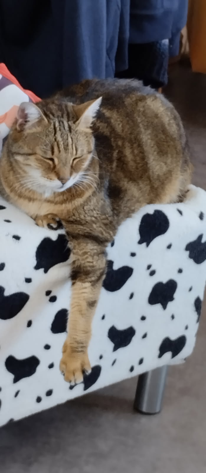 POMPONETTE