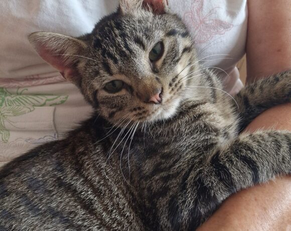 BILLY
