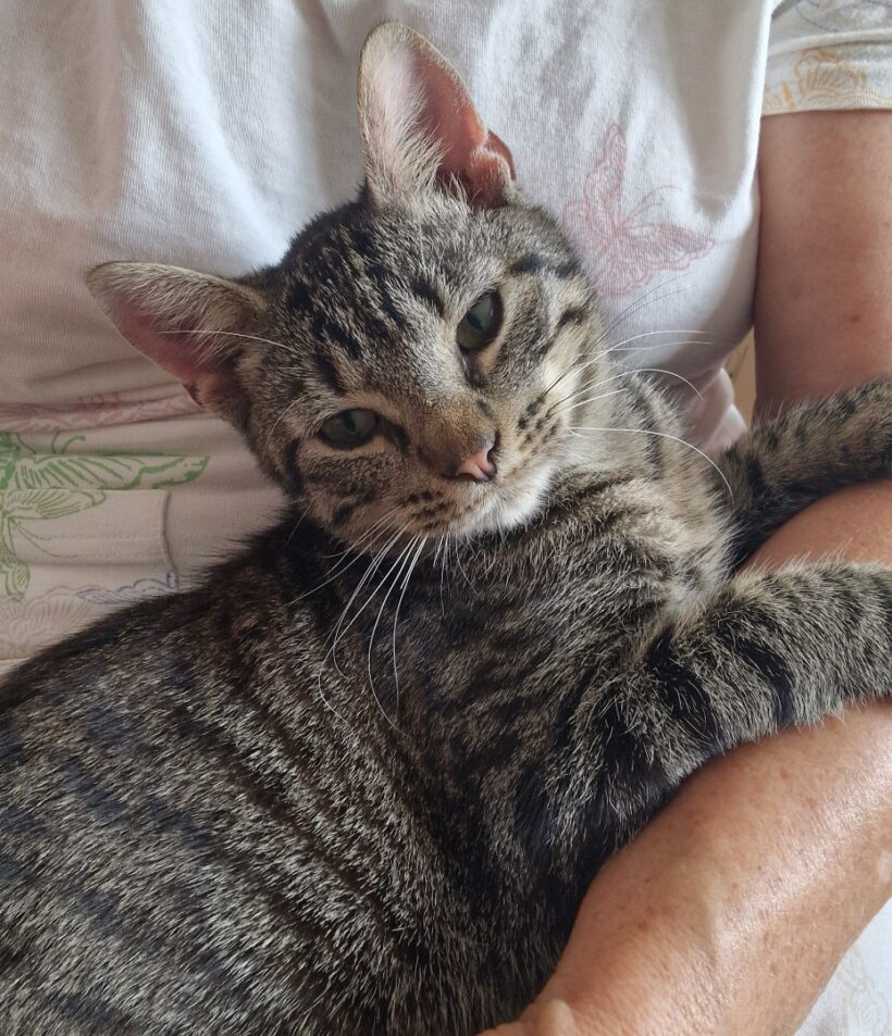 BILLY