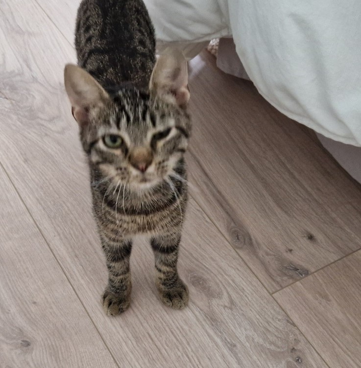 BILLY