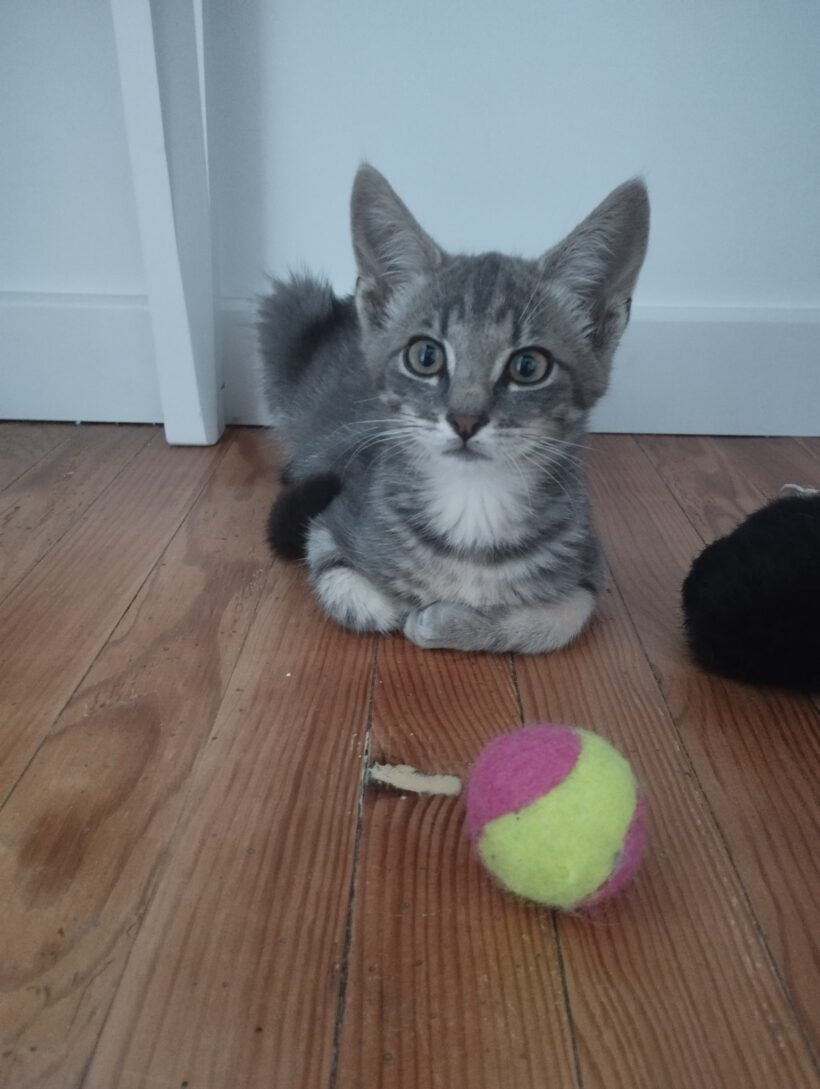 OSKAR est réservé