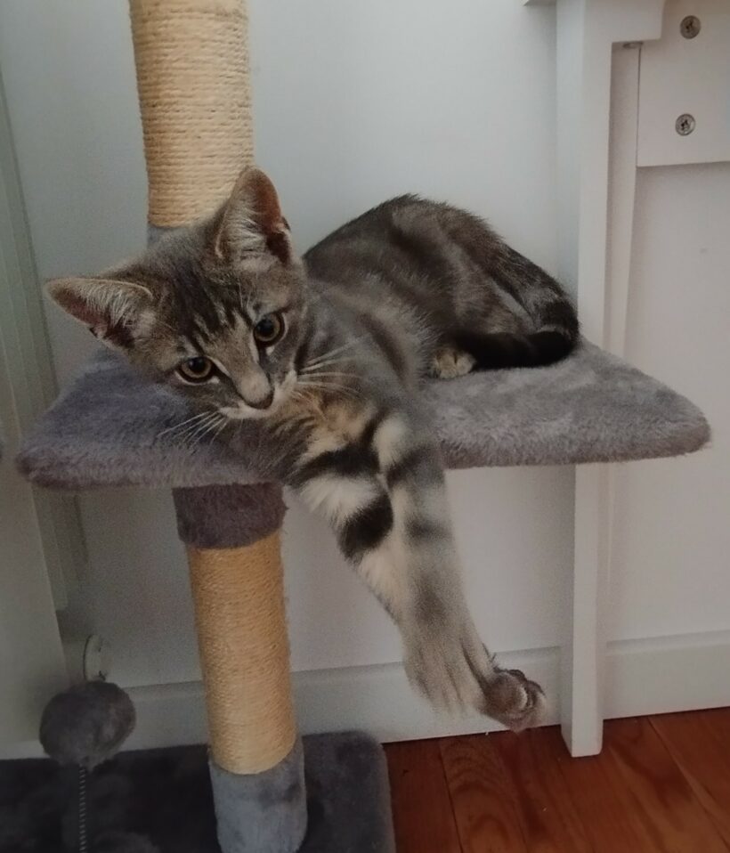 OSKAR est réservé