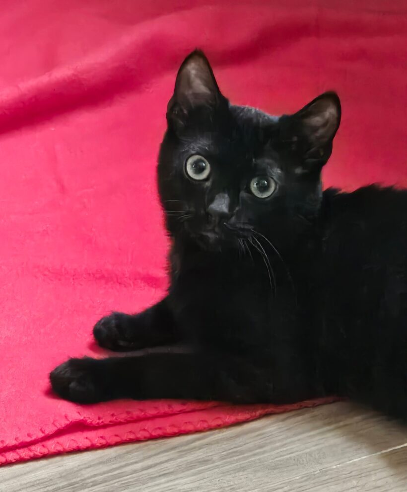 TITOU est réservé