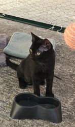 TITOU