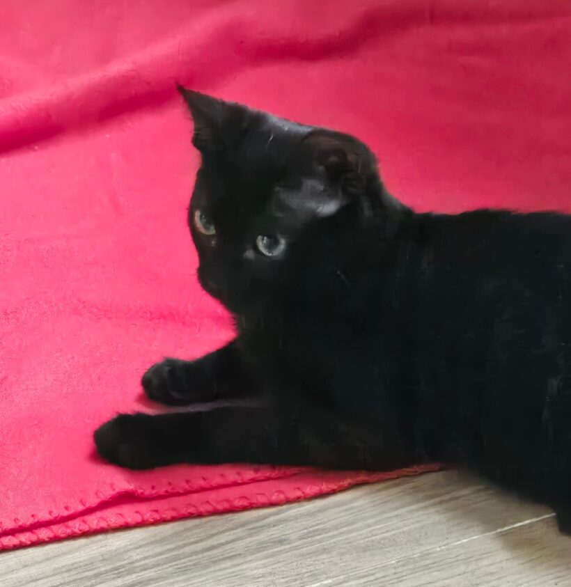 TITOU est réservé